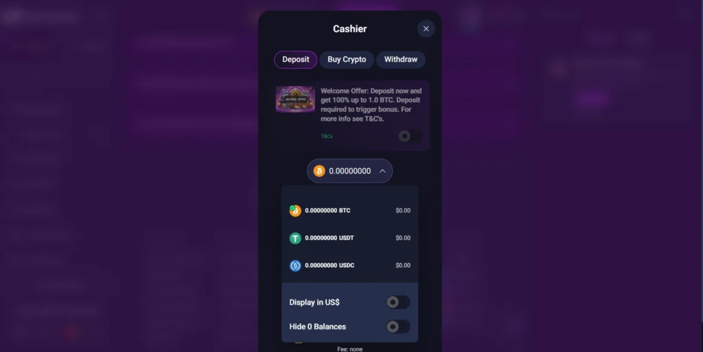 Metaspins casino cryptocurrency wallet and payment options